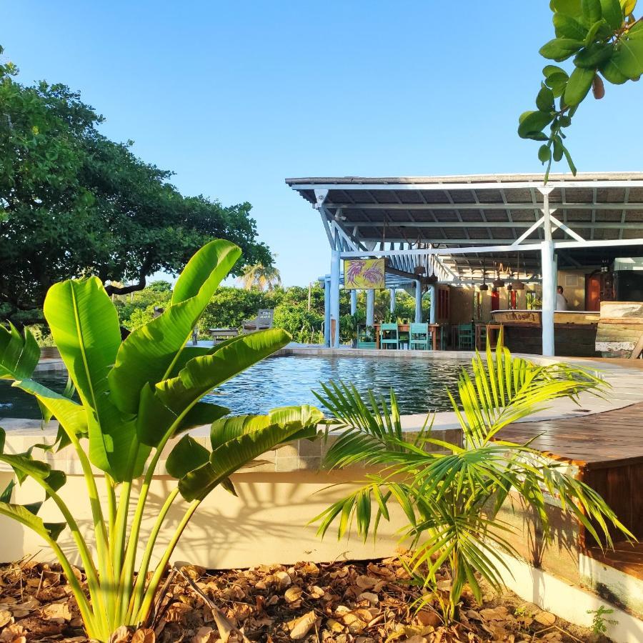 Convento Arcadia Bed & Breakfast Atins Luaran gambar